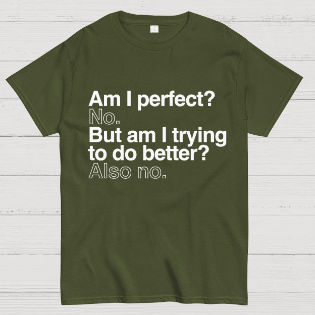 Am I Perfect No Nerdy T-Shirt