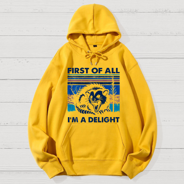 First Of All I'm A Delight Sarcastic Geek Cotton Hoodie