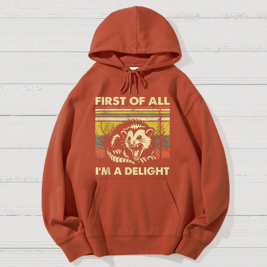 First Of All I'm A Delight Sarcastic Geek Cotton Hoodie