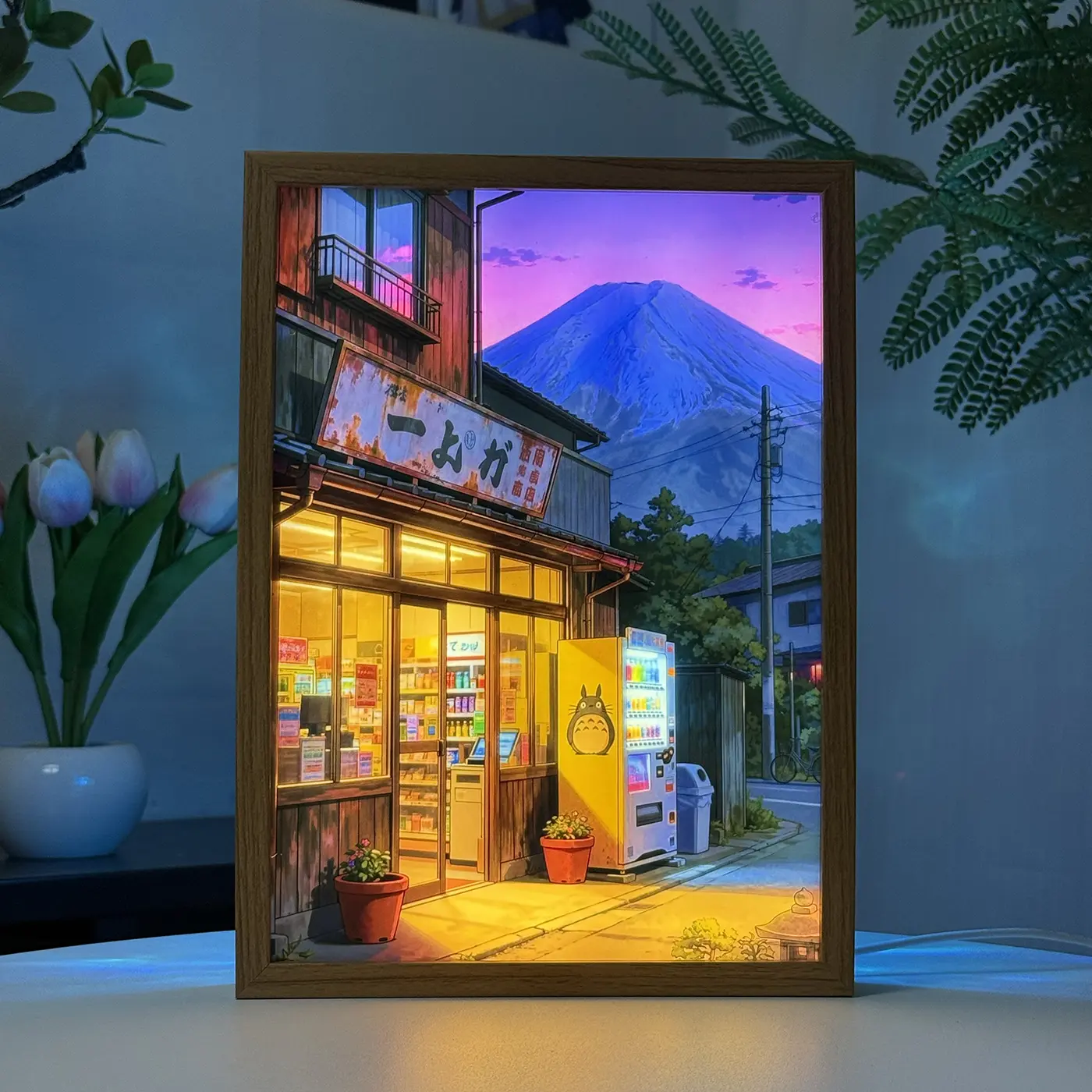 Mt. Fuji Little Shop LED light painting with the lights on