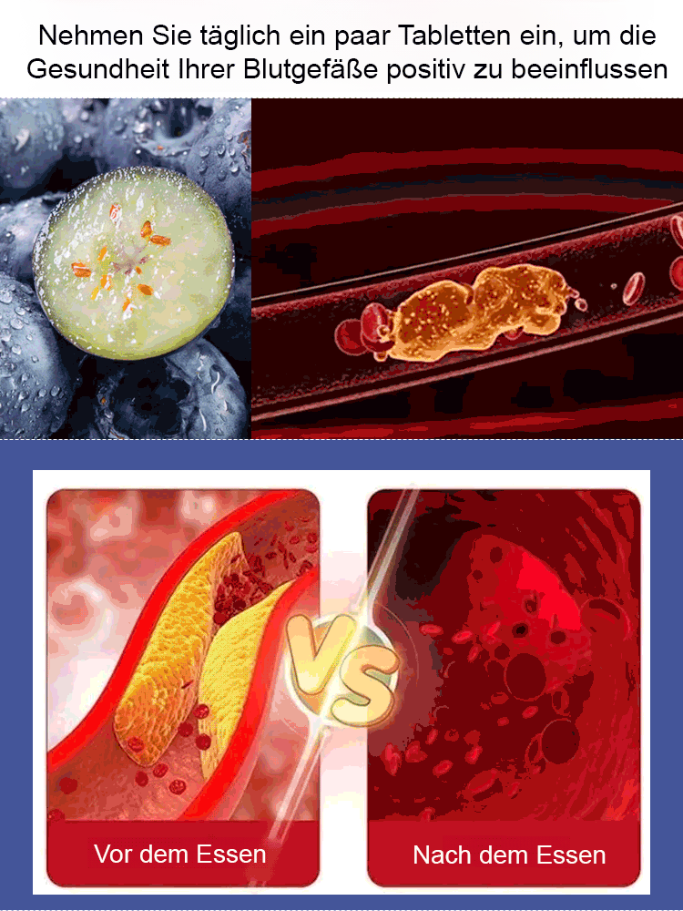 Premium zuckerfreie getrocknete Blaubeeren