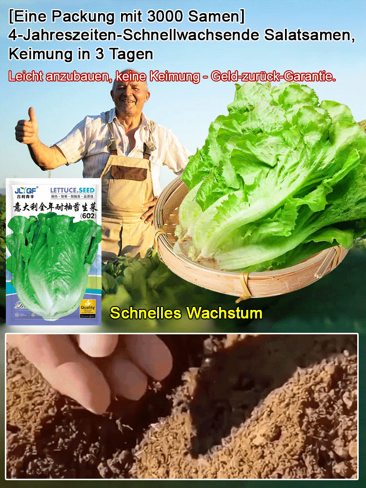 [3000 Kapseln pro Packung] Schnell wachsende 4-Jahreszeiten-Salatsamen keimen in 3 Tagen