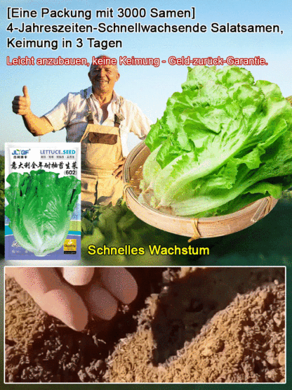 [3000 Kapseln pro Packung] Schnell wachsende 4-Jahreszeiten-Salatsamen keimen in 3 Tagen