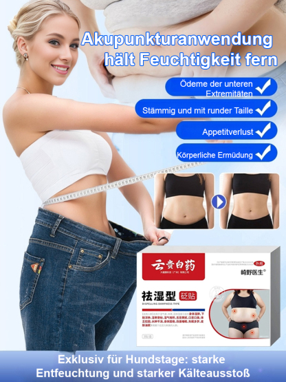 Yun Gui Baiyao Feuchtigkeitsentfernendes Pflaster