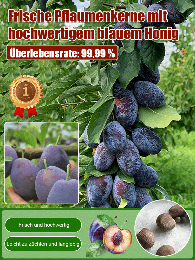 Pflaumenkirschkerne