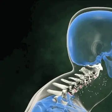 Neck_Tracktion_Gif_480x480.webp