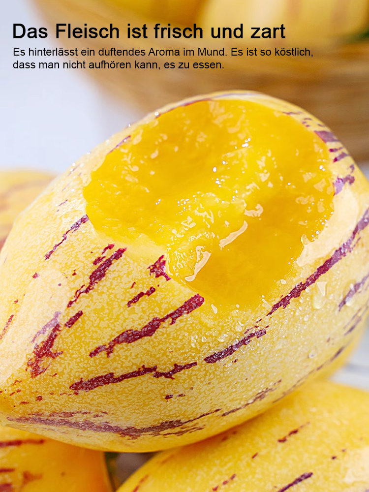 Zucker- und blutdrucksenkender, milchiger, gelber Topf-Pfirsichmelonen.
