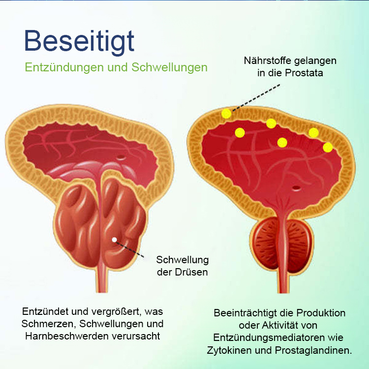Herren-Vitamin-Fischöl