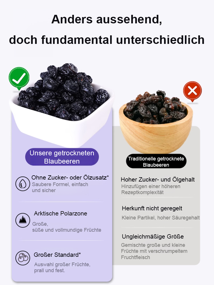 Premium zuckerfreie getrocknete Blaubeeren