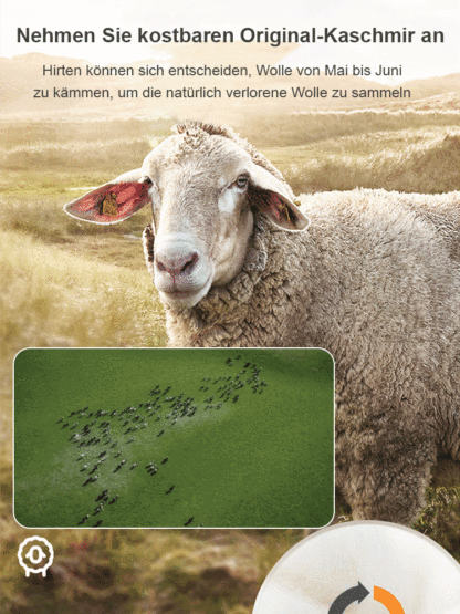 🔥[Unmittelbar nach dem Anziehen um 10° aufwärmen] Selbstheizende Weste aus Graphen-Kaschmir