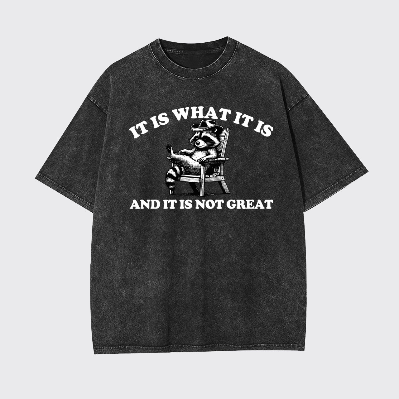 It Is What It Is And It Is Not Great Garment-dye Tees