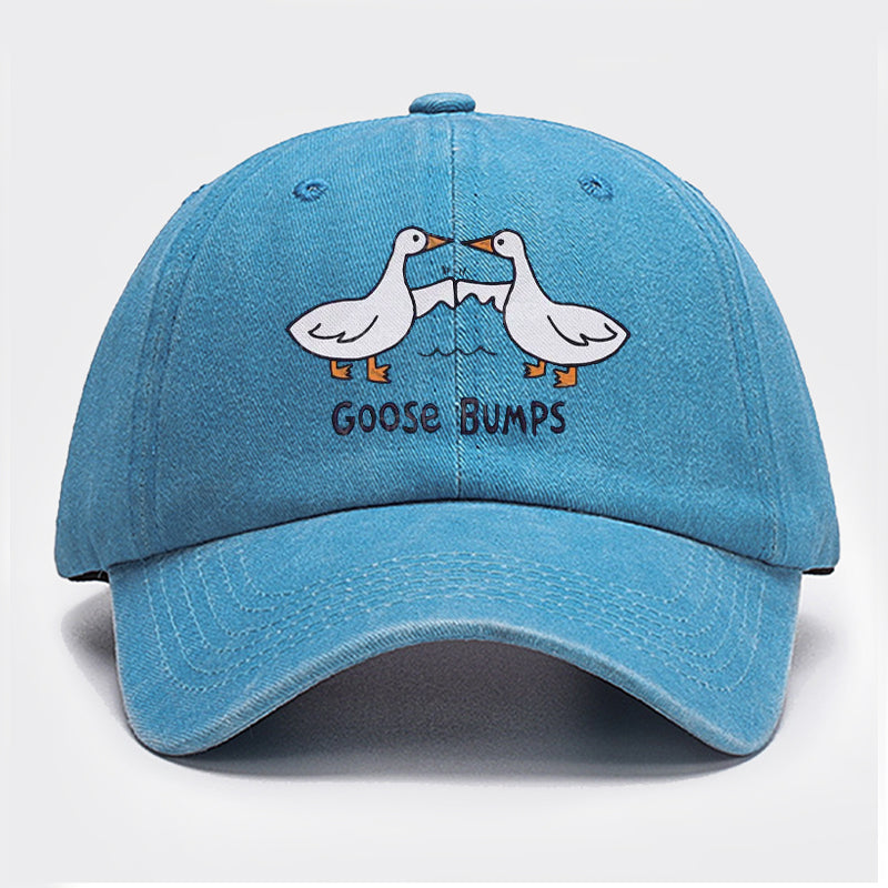 Goose Bump Embroidery Washed Hat