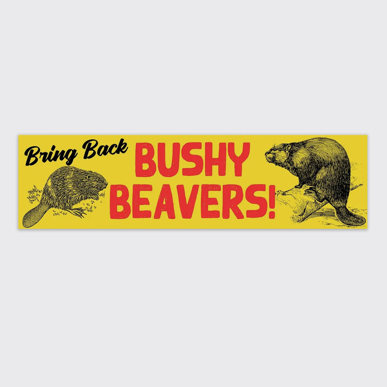 Bring Back Bushy Beavers Bumper Magnet