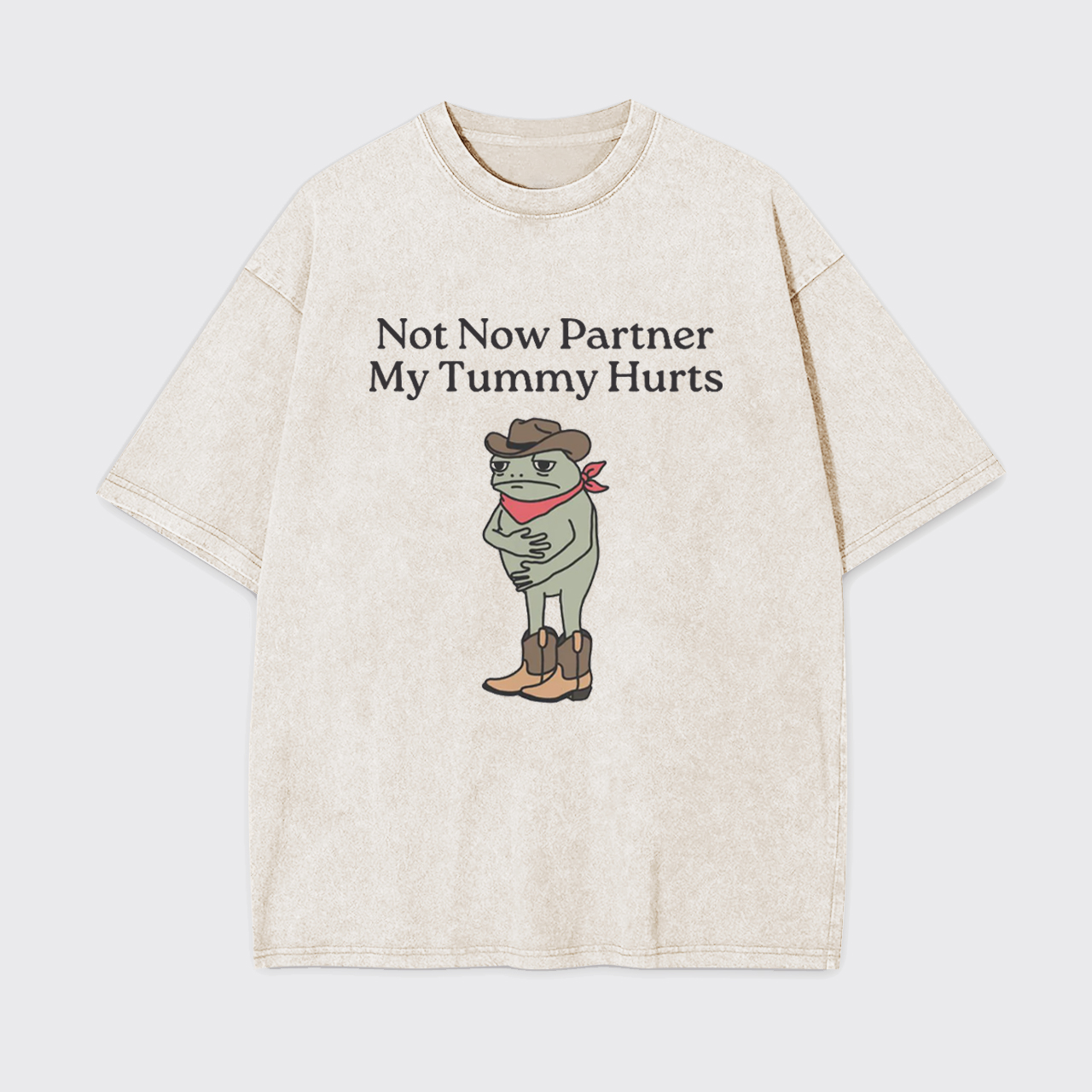 Not Now Partner My Tummy Hurts IBS Garment-dye Tees
