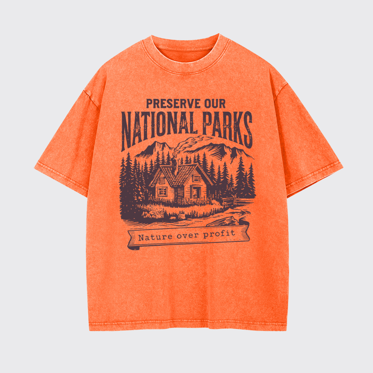 Vintage Protect Our National Parks Garment-dye Tees
