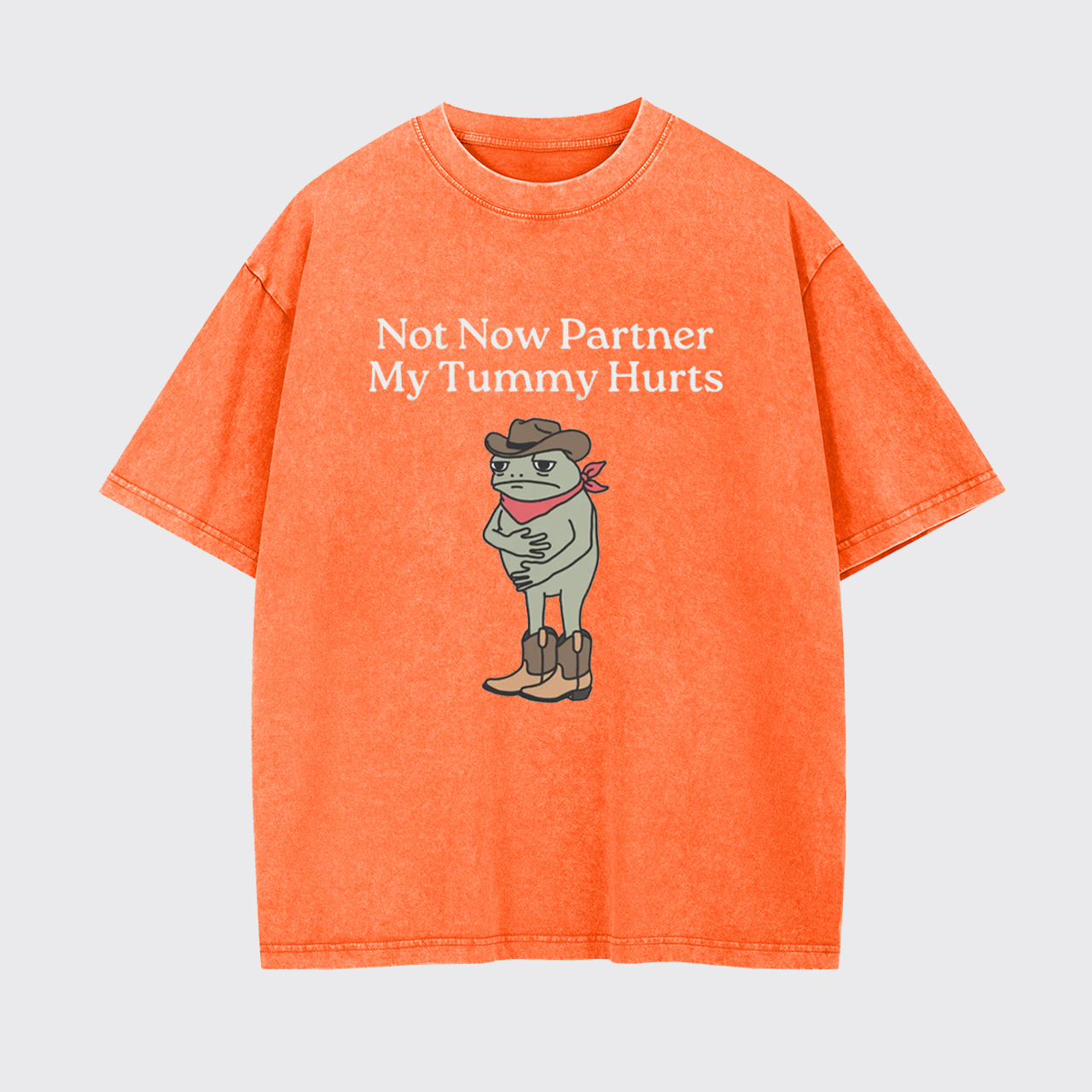 Not Now Partner My Tummy Hurts IBS Garment-dye Tees