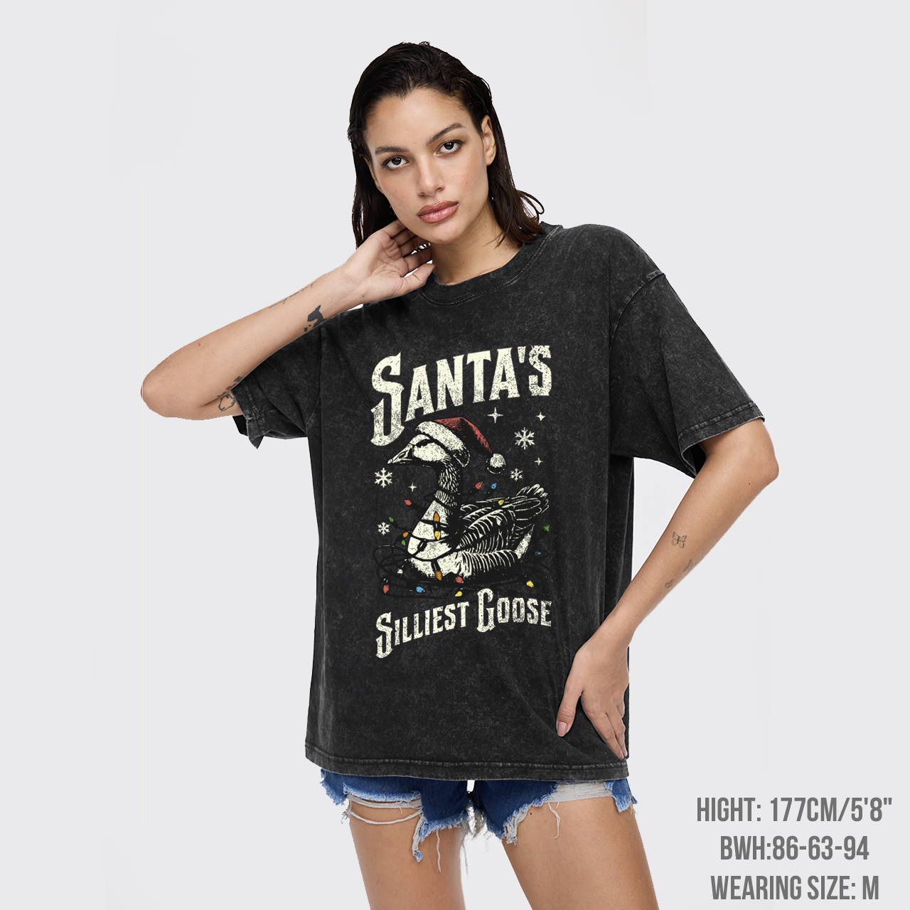 Vintage Santa's Silliest Goose Garment-dye Tees