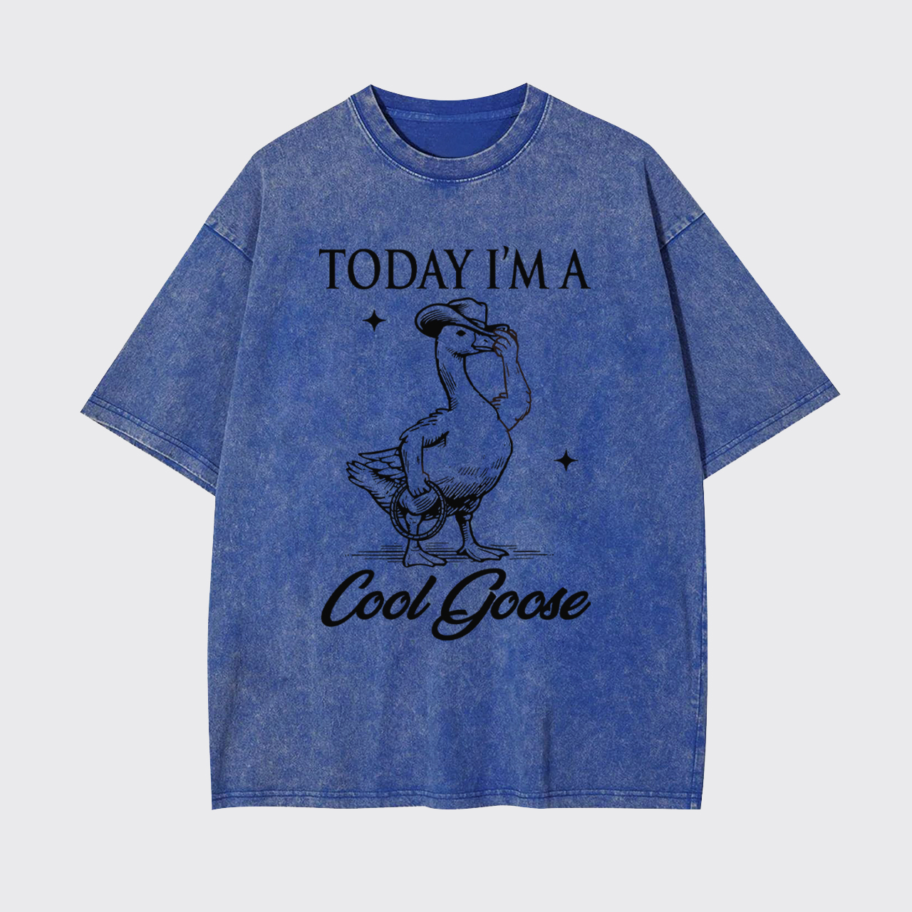 Today I'm A Cool Goose Garment-dye Tees