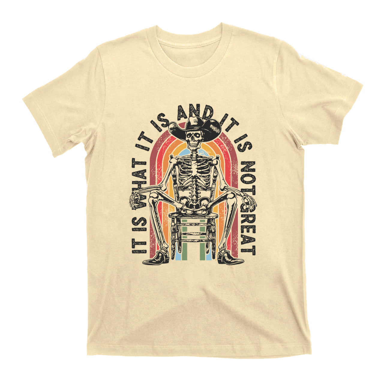 It Is What It Is And It Is Not Great T-Shirts