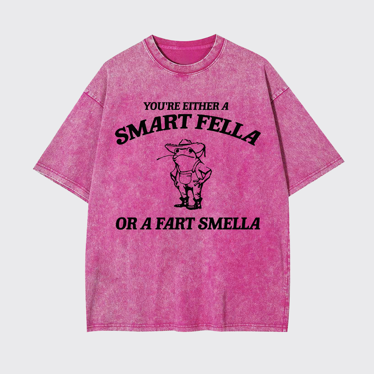 Are You A Smart Fella Or Fart Smella Garment-dye Tees