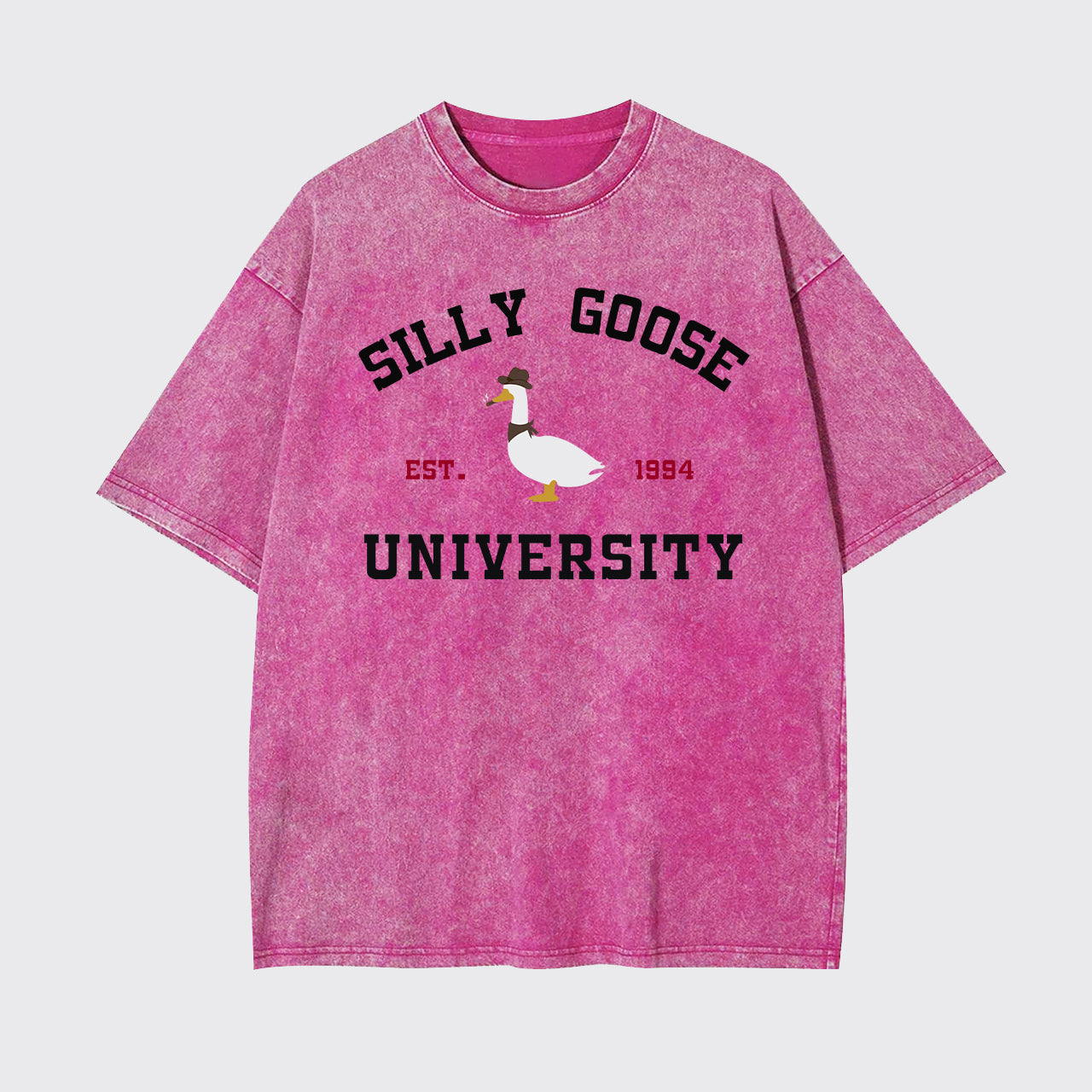 Silly Goose University Garment-dye Tees