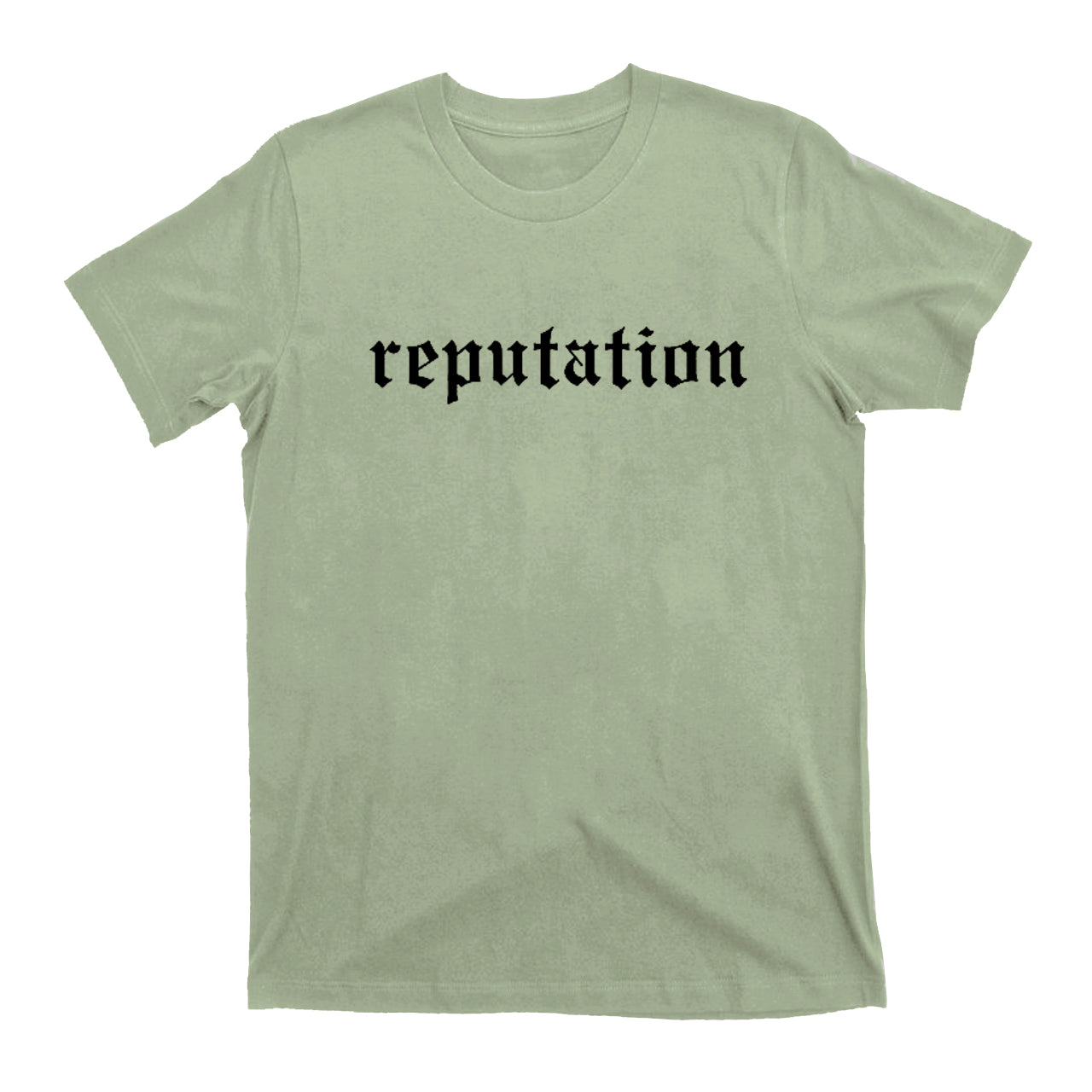 Reputation T.S 2024 T-Shirts