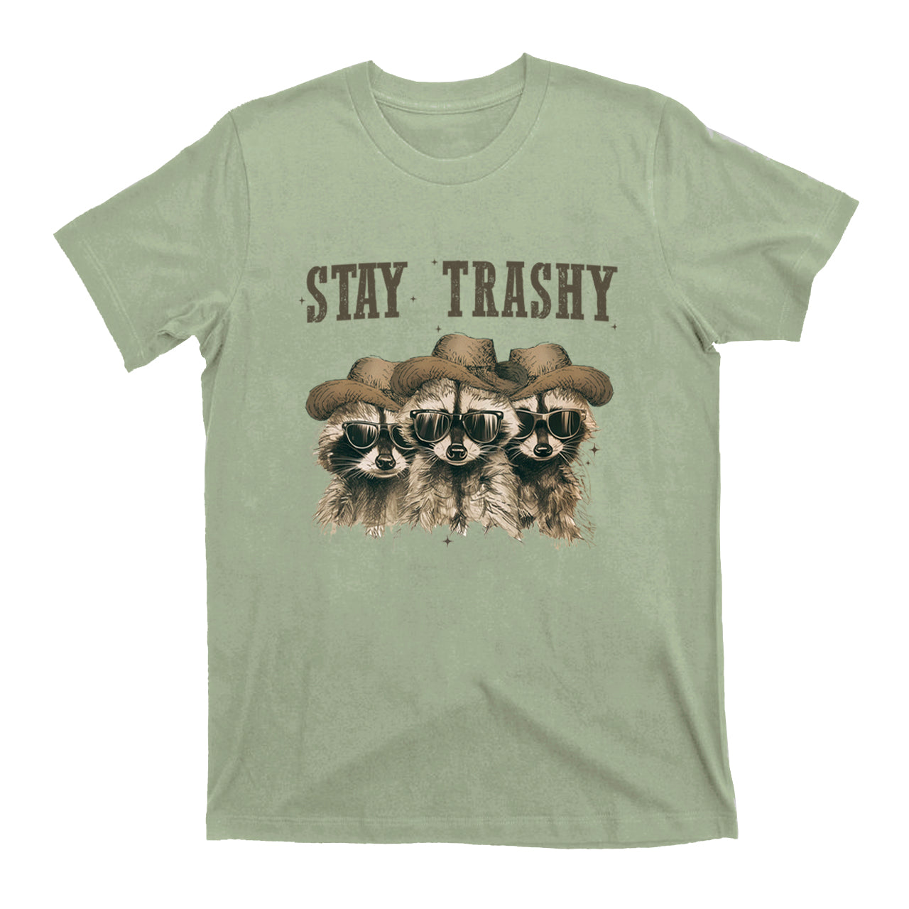 Stay Trashy,Raccoon T-Shirts