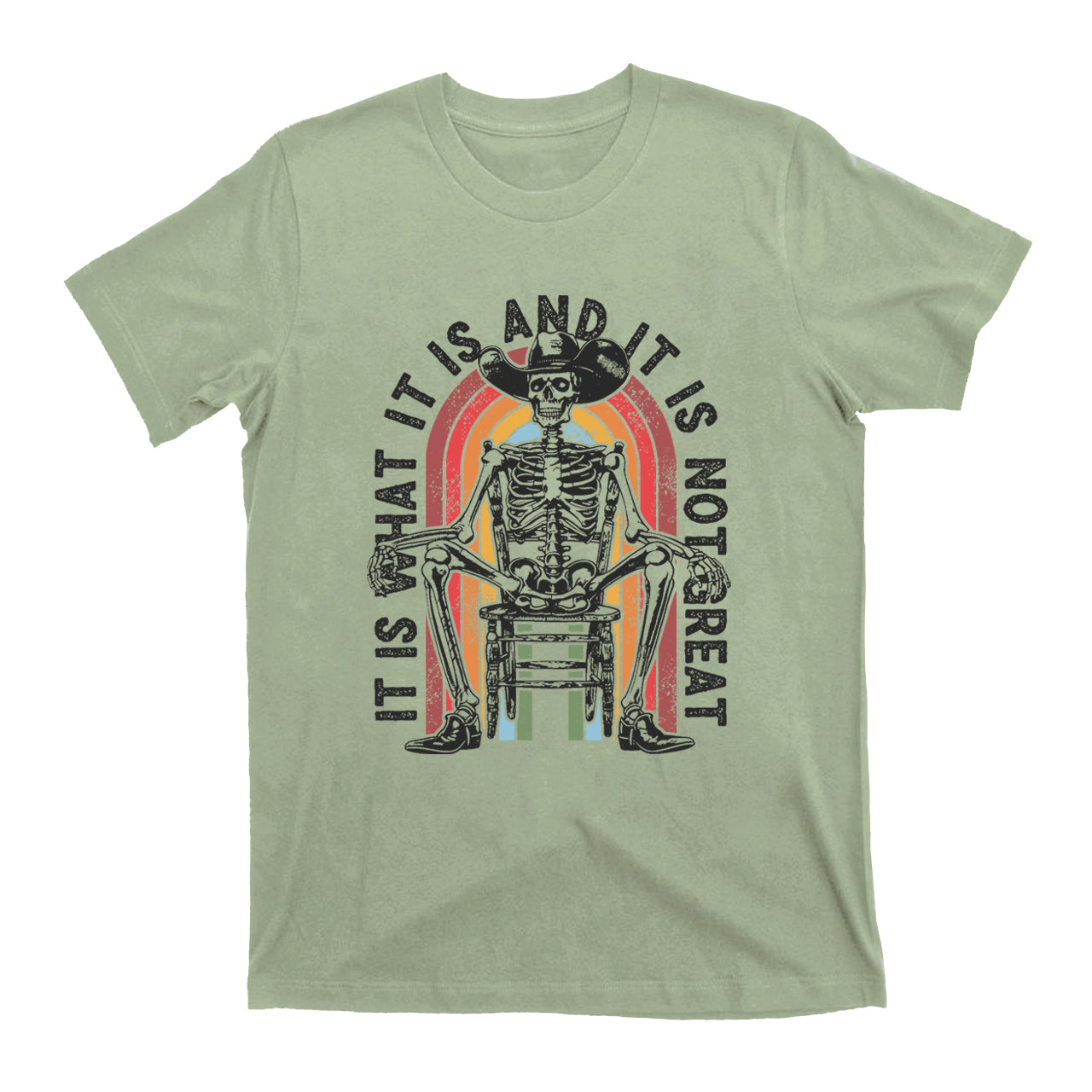 It Is What It Is And It Is Not Great T-Shirts