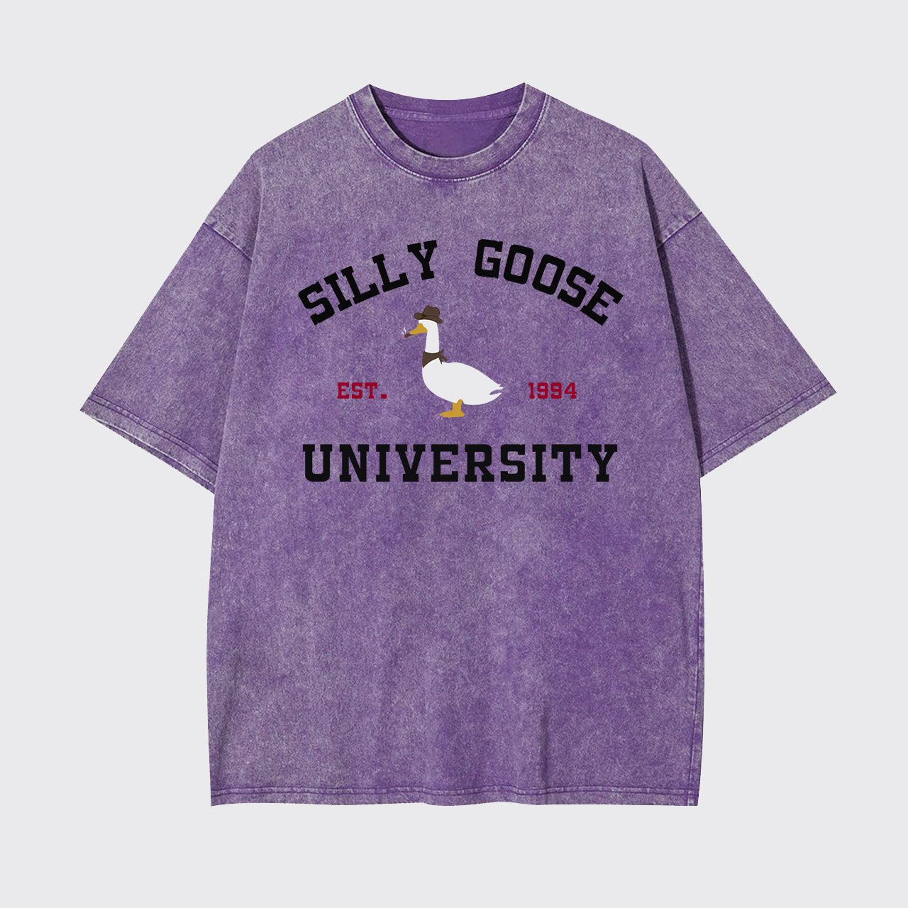 Silly Goose University Garment-dye Tees