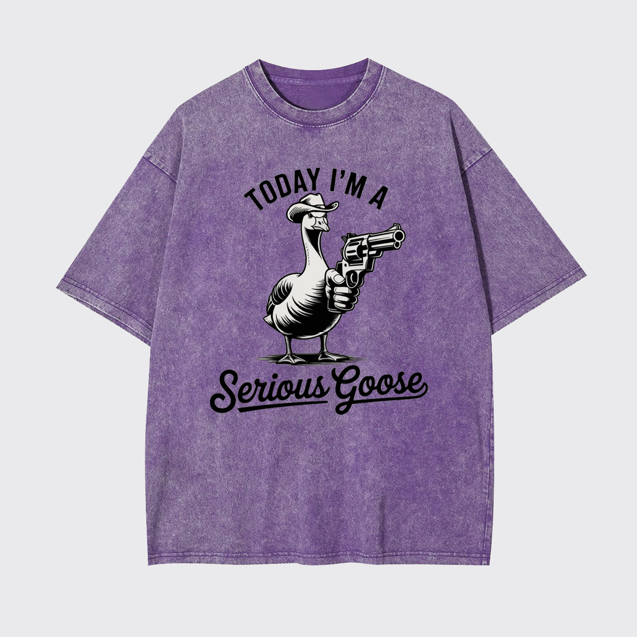 Today I'm a Serious Goose Funny Garment-dye Tees
