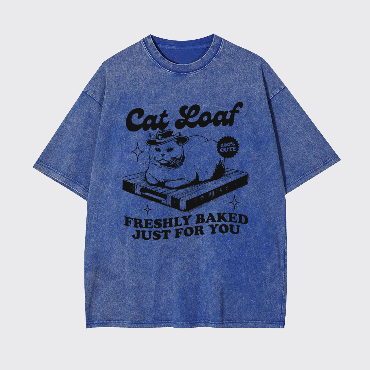 Vintage Retro Funny Cat Meme Garment-dye Tees