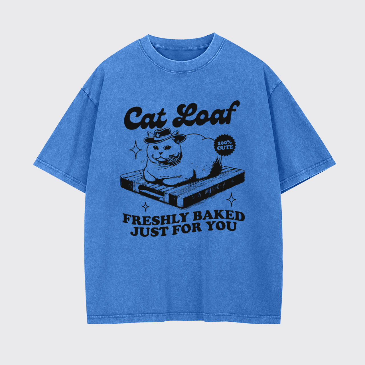 Vintage Retro Funny Cat Meme Garment-dye Tees