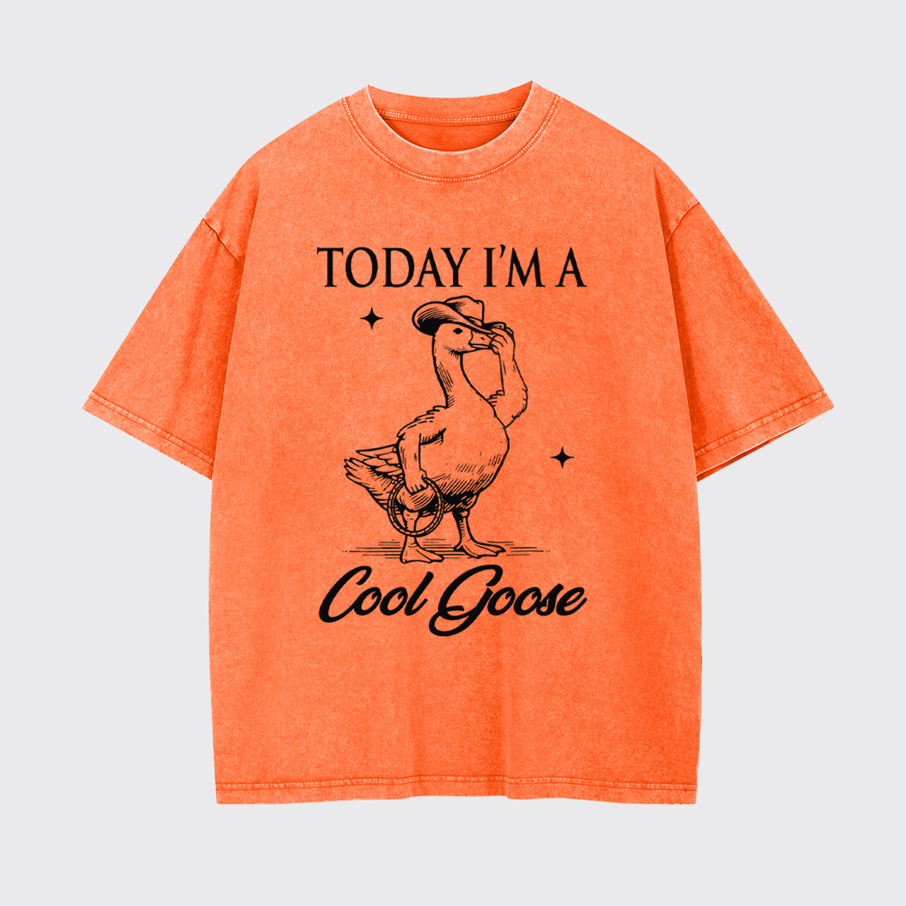 Today I'm A Cool Goose Garment-dye Tees