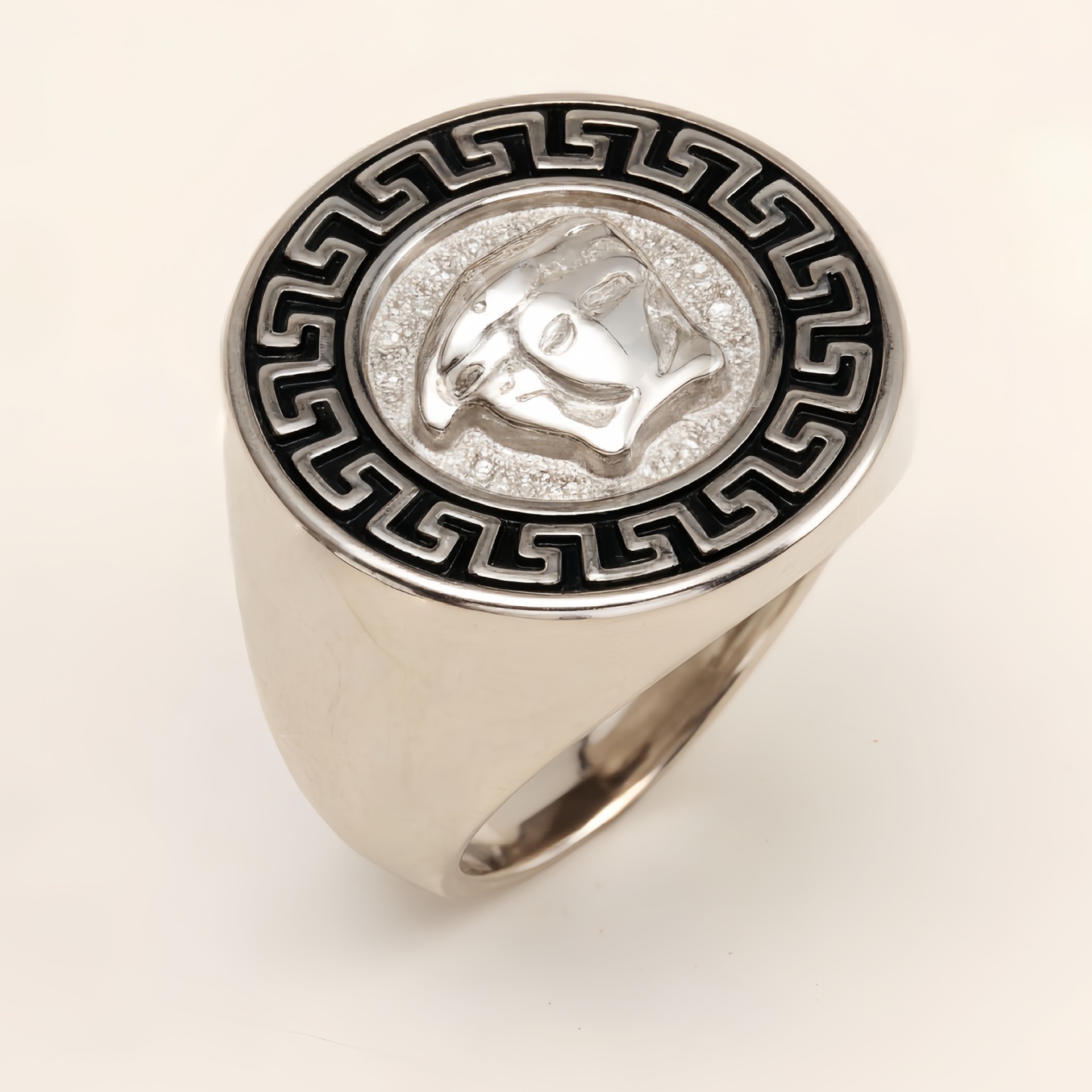Geometric - bordered Lion - head Stainless Steel Ring - Personalized Jewelry for Men | DZ251-JinBaoJewerly