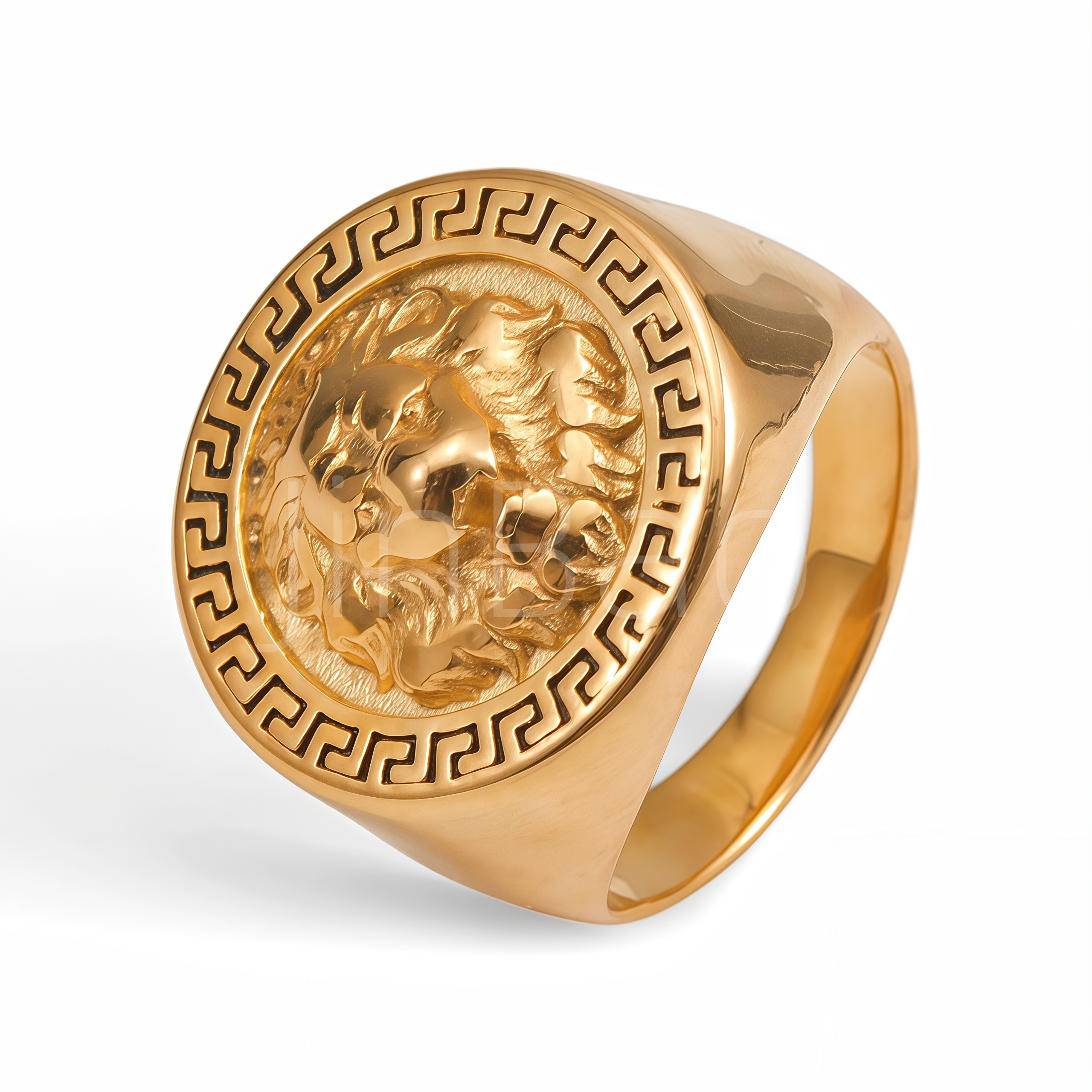 3D Lion Head Signet Ring for Men | D00180