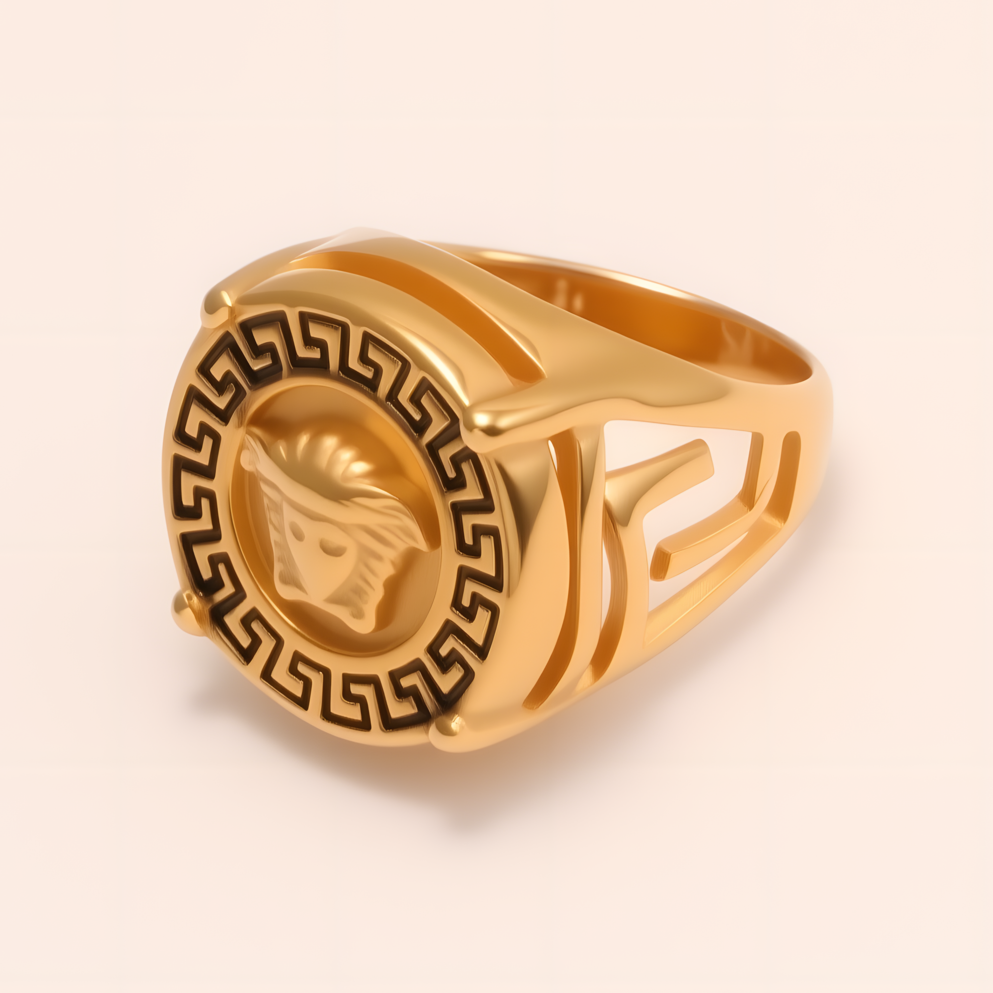 Geometric - bordered Lion - head Stainless Steel Ring - Personalized Jewelry for Men | DZ233-JinBaoJewerly