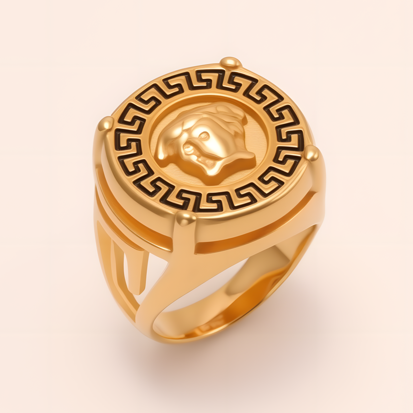 Geometric - bordered Lion - head Stainless Steel Ring - Personalized Jewelry for Men | DZ233-JinBaoJewerly