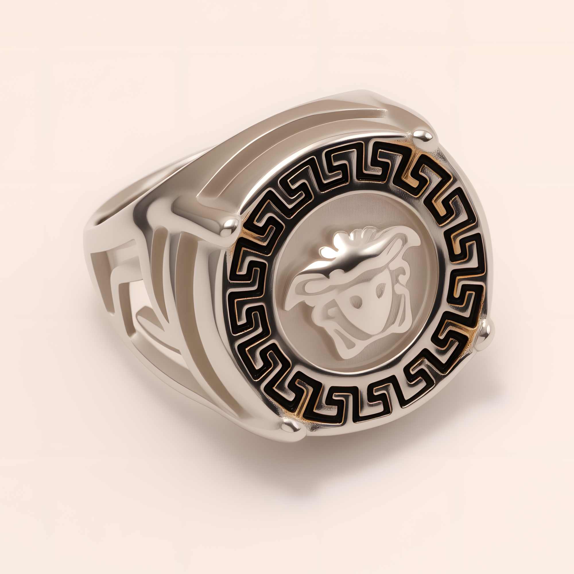 Geometric - bordered Lion - head Stainless Steel Ring - Personalized Jewelry for Men | DZ233-JinBaoJewerly