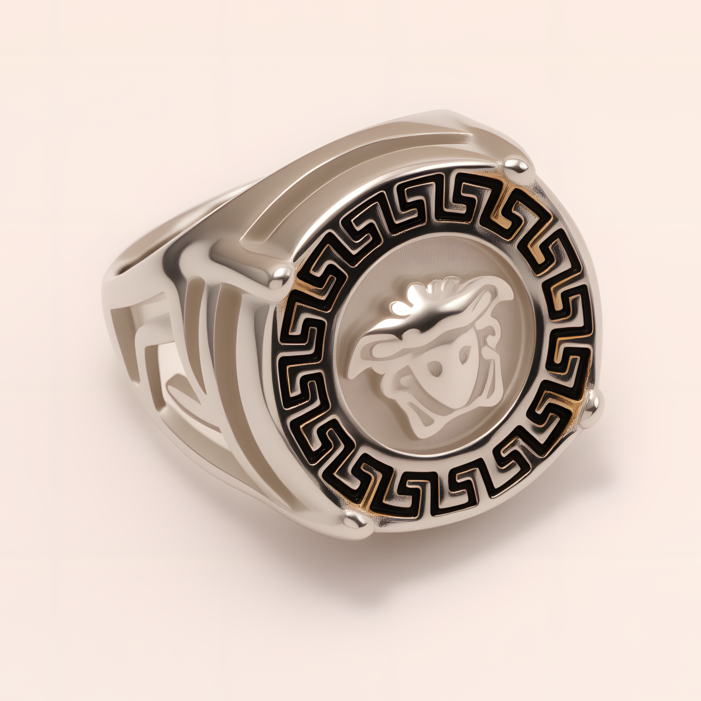 Geometric - bordered Lion - head Stainless Steel Ring - Personalized Jewelry for Men | DZ233-JinBaoJewerly