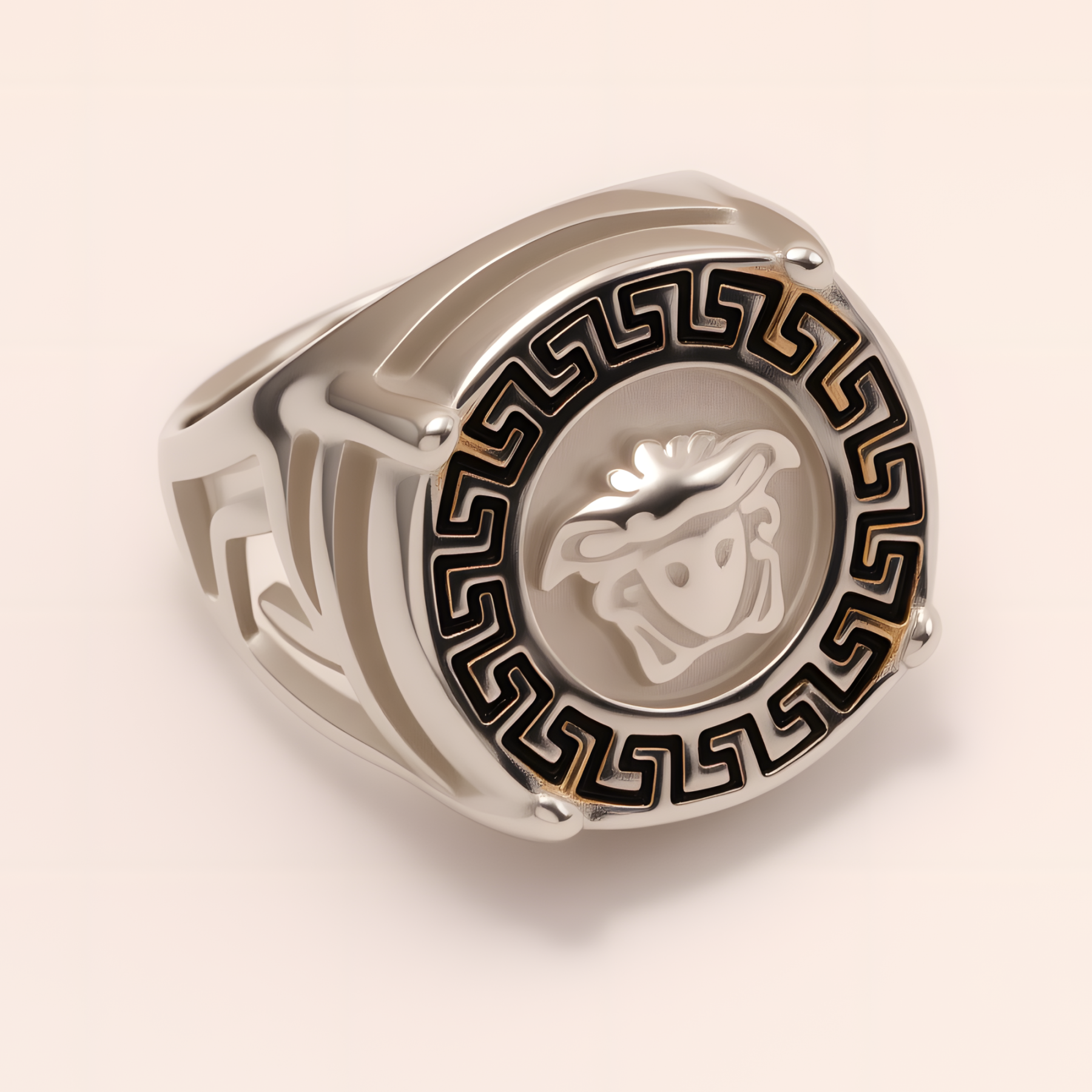 Geometric - bordered Lion - head Stainless Steel Ring - Personalized Jewelry for Men | DZ233-JinBaoJewerly