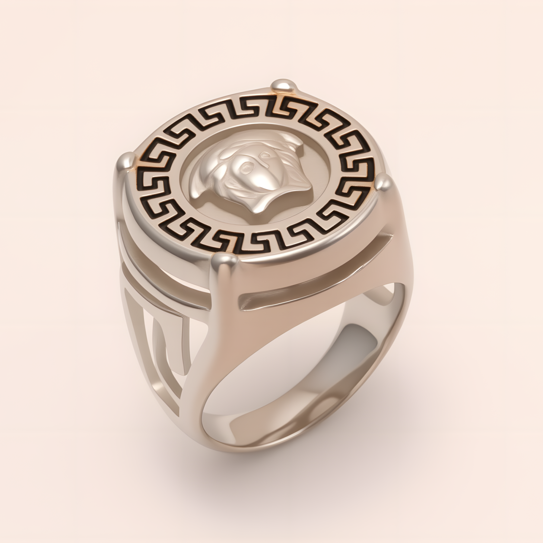 Geometric - bordered Lion - head Stainless Steel Ring - Personalized Jewelry for Men | DZ233-JinBaoJewerly