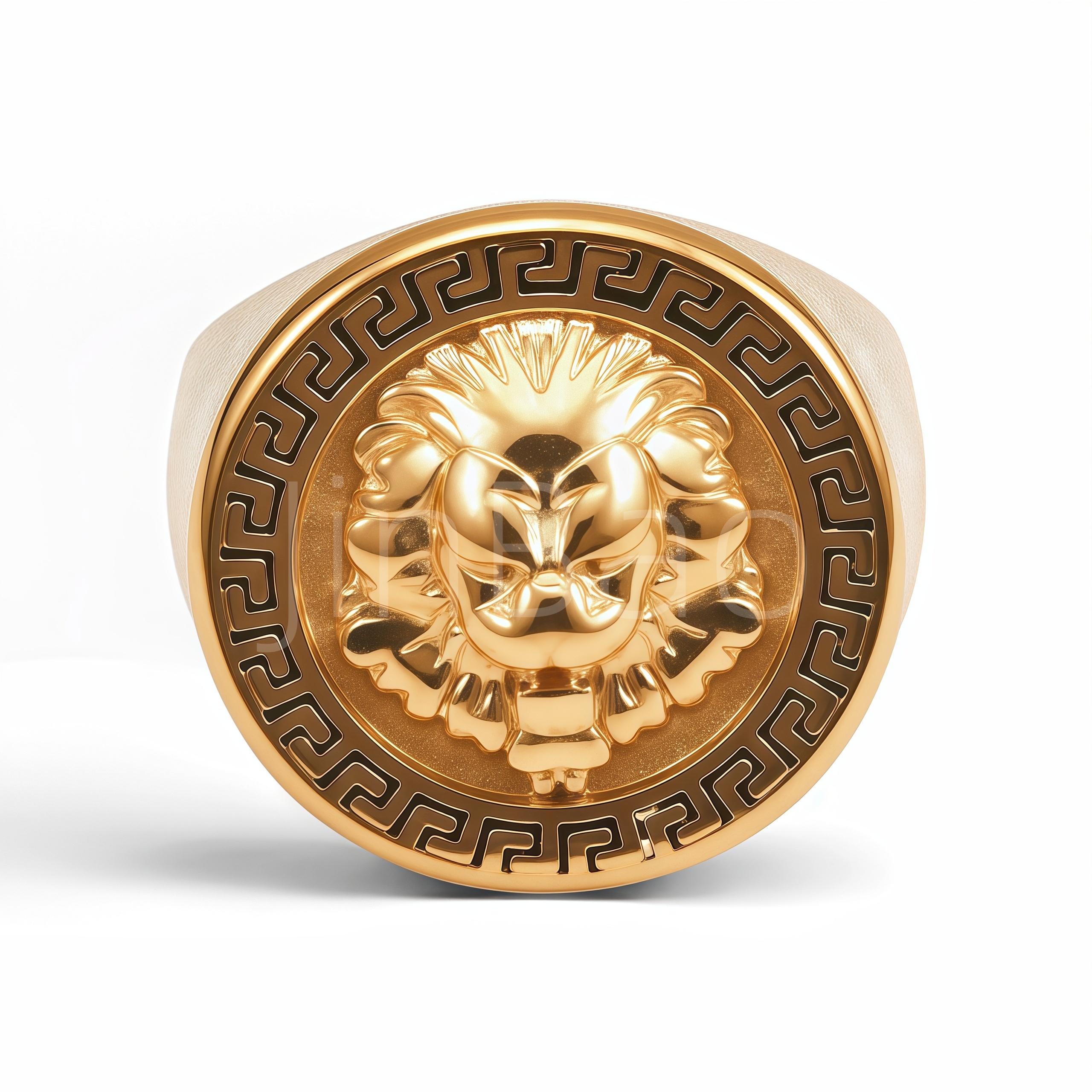 3D Lion Head Signet Ring for Men | D00180