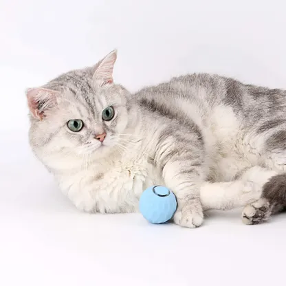 This 2023 number 1 rated toy will keep your cat engaged for hours 🐱❤️  The PassionForPets™ Powerball 2.0 is specially designed to boost your cat’s mood and keep them engaged with its unpredictable rolling patterns and bouncy movements, providing hours of