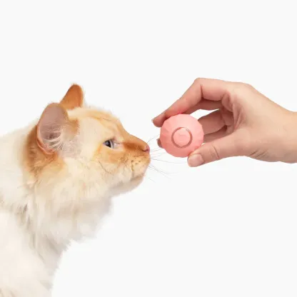 This 2023 number 1 rated toy will keep your cat engaged for hours 🐱❤️  The PassionForPets™ Powerball 2.0 is specially designed to boost your cat’s mood and keep them engaged with its unpredictable rolling patterns and bouncy movements, providing hours of