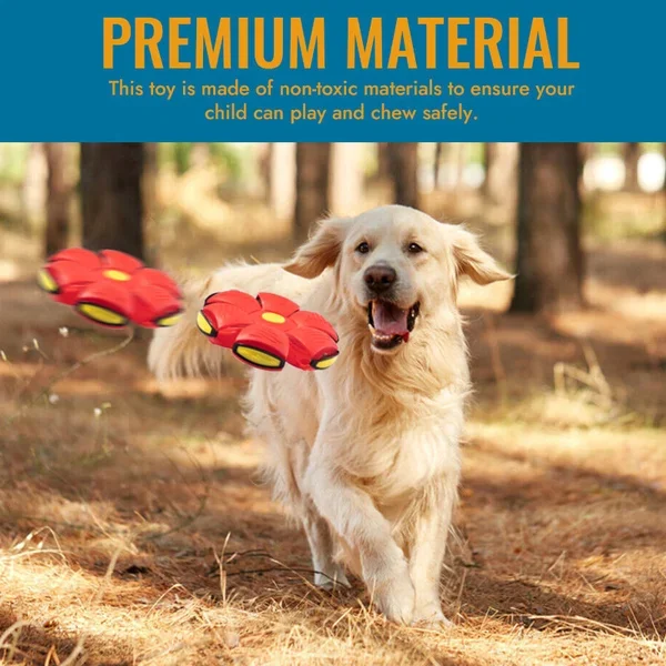 🔥LAST DAY PROMOTION 70% OFF 🎁Black Friday Sale💥The Doggy Disc Ball💞