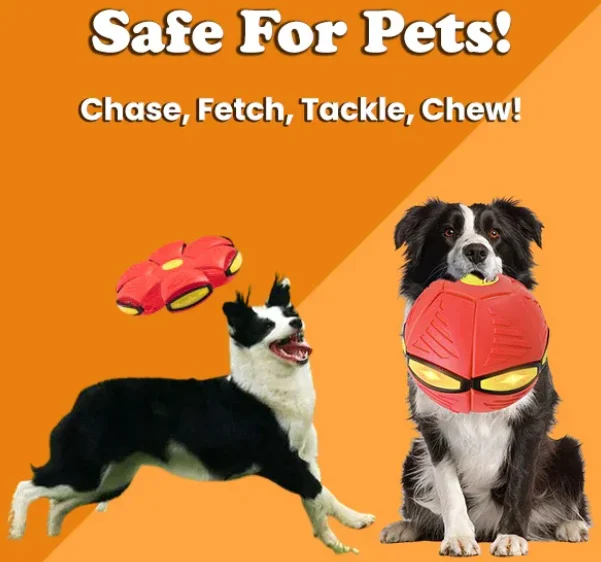 🔥LAST DAY PROMOTION 70% OFF 🎁Black Friday Sale💥The Doggy Disc Ball💞