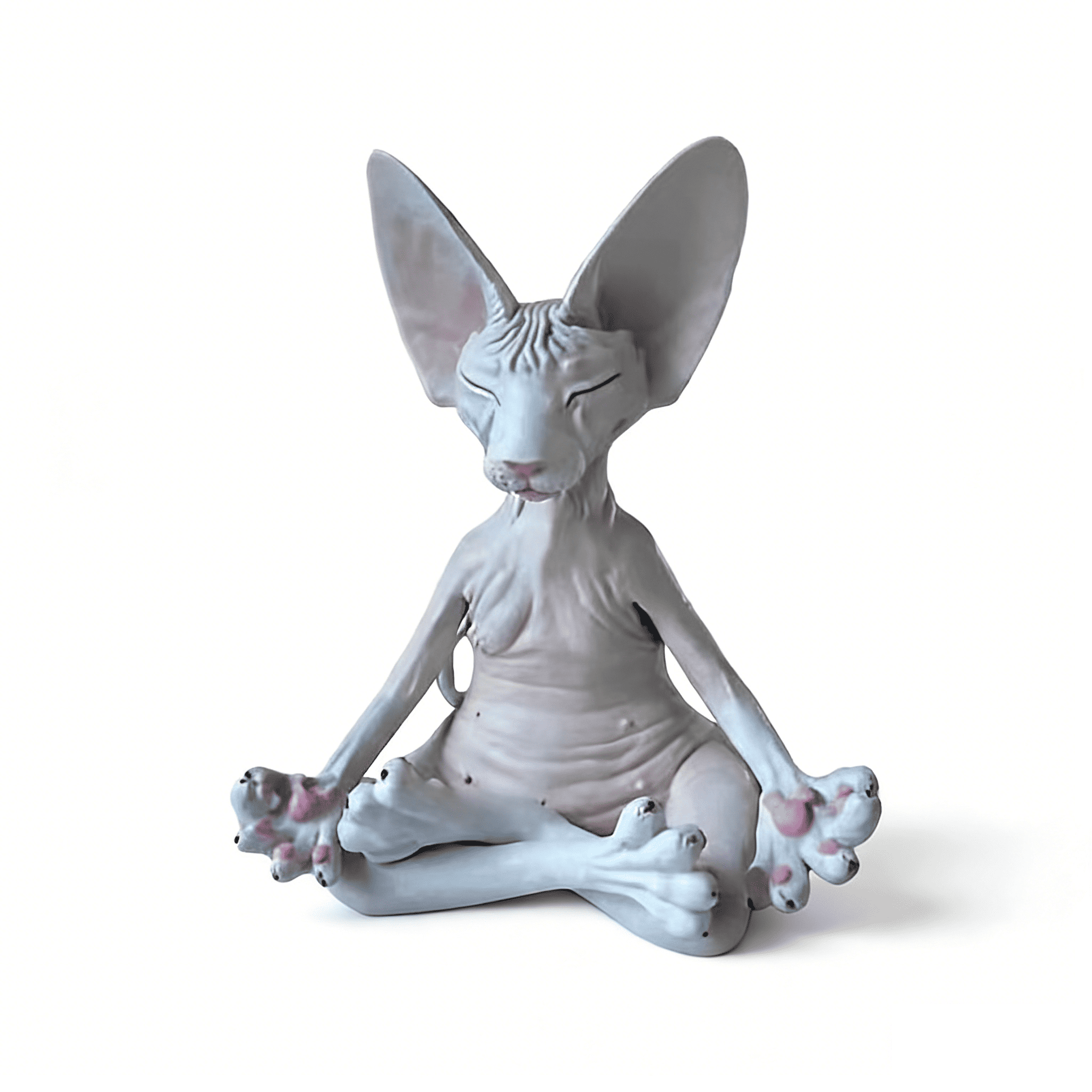 The Meditation Cat