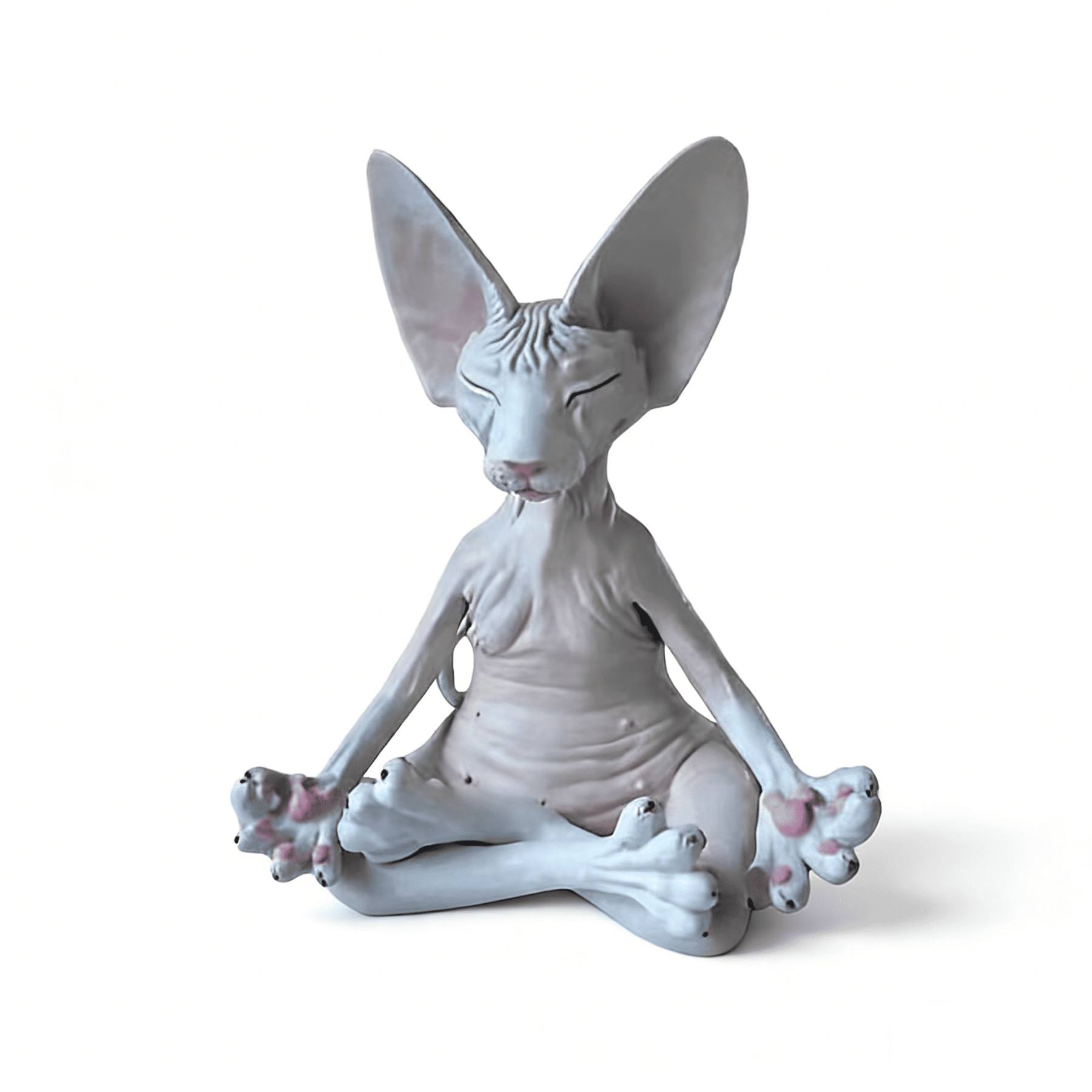 The Meditation Cat