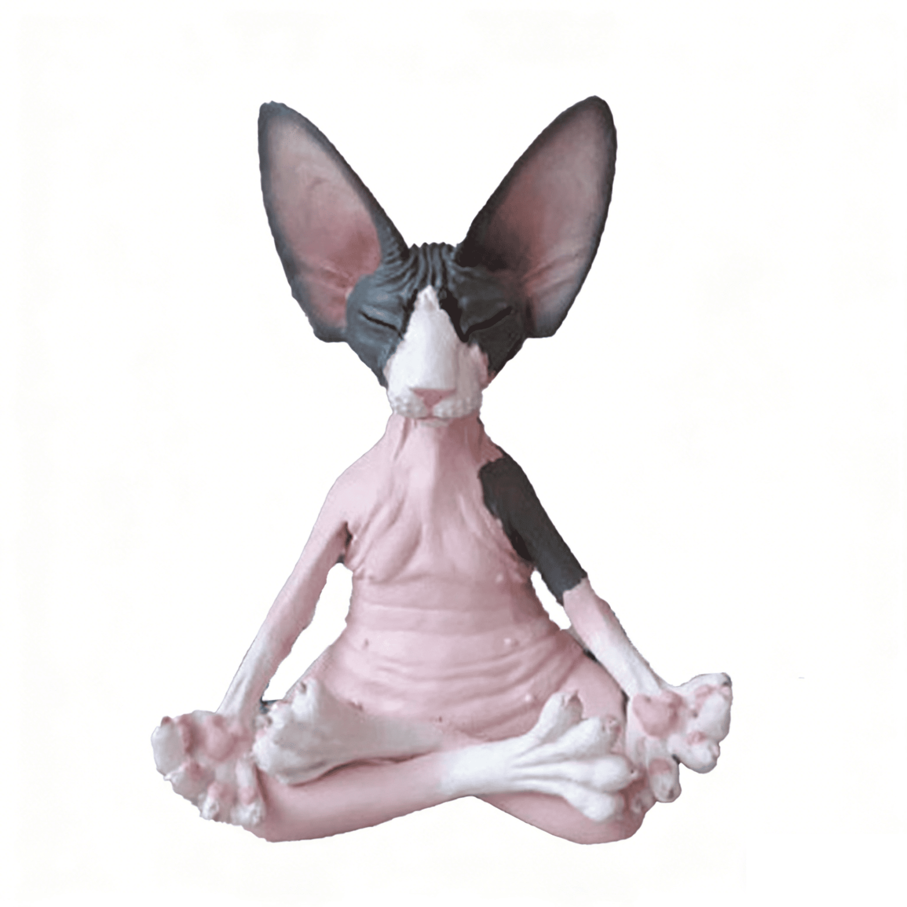 The Meditation Cat