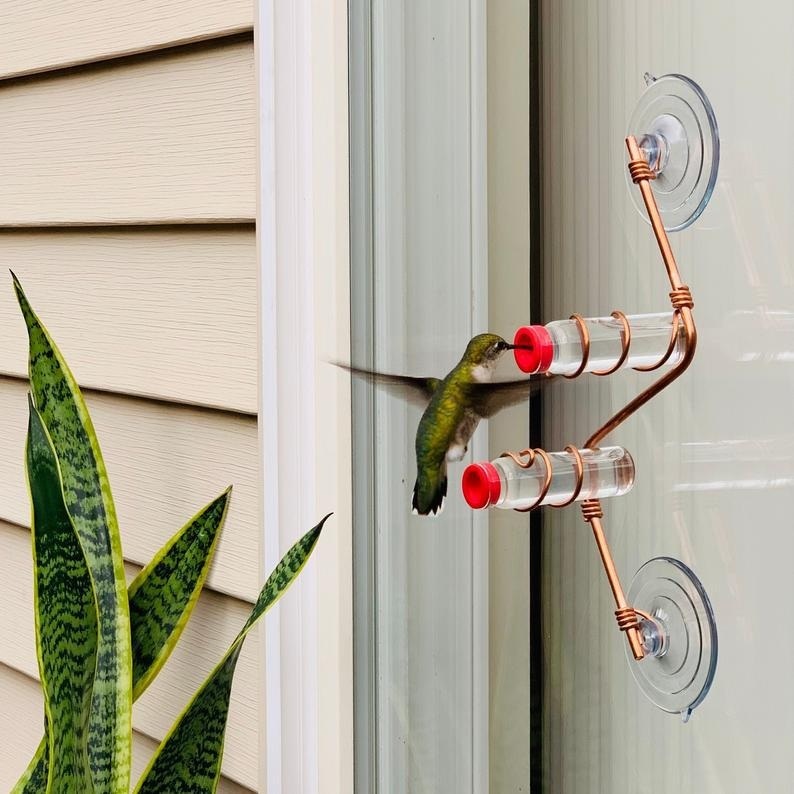 Hummingbird watering can